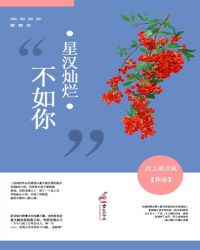 星汉灿烂什么时候上映